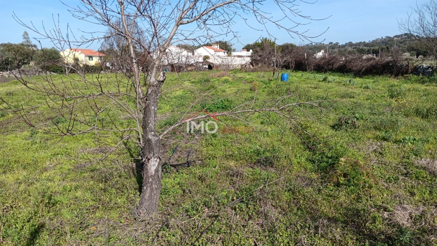 Moradia T3 para Venda em Beirã Foto 16