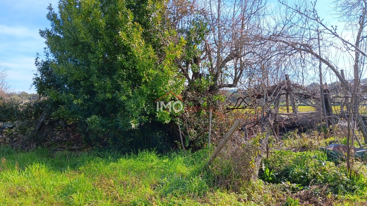 Moradia T3 para Venda em Beirã Foto 22