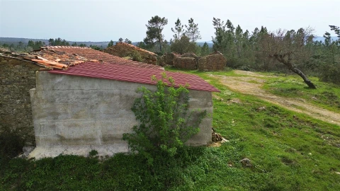 Terreno para Venda em Sarzedas