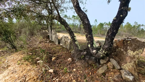 Terreno para Venda em Sarzedas