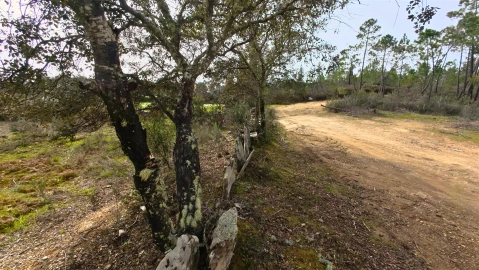 Terreno para Venda em Sarzedas