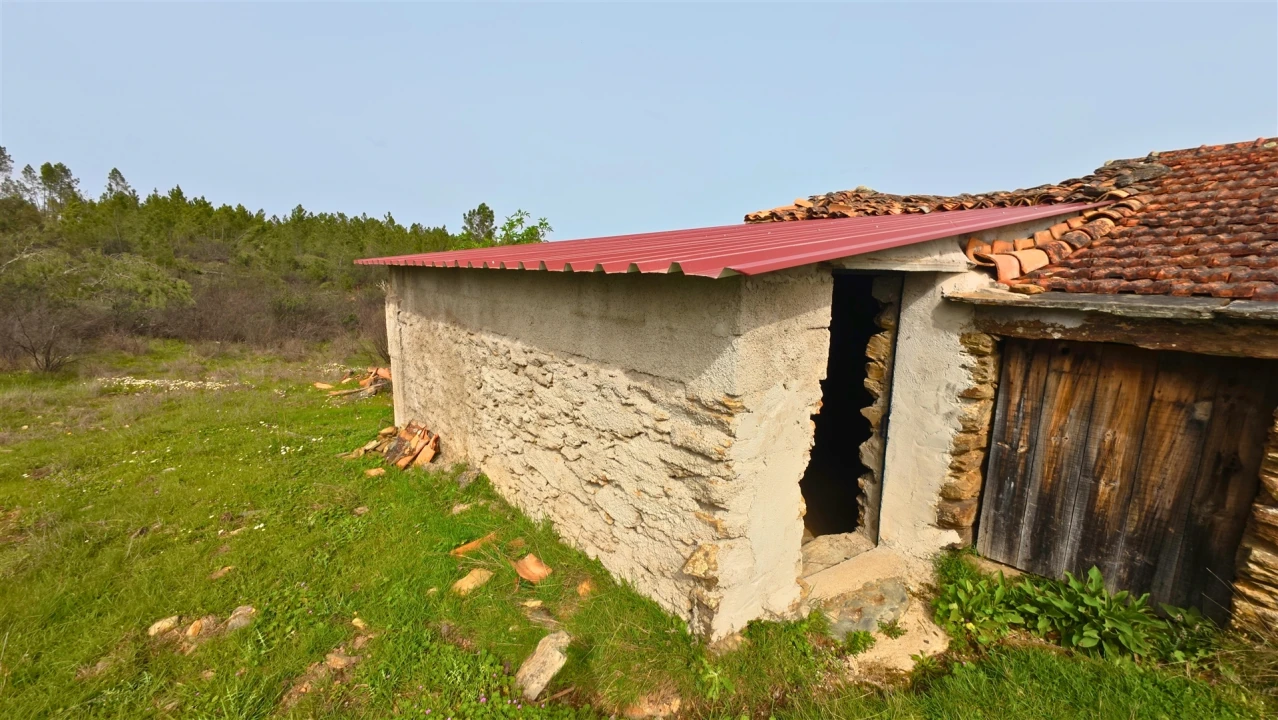 Terreno para Venda em Sarzedas Foto 1