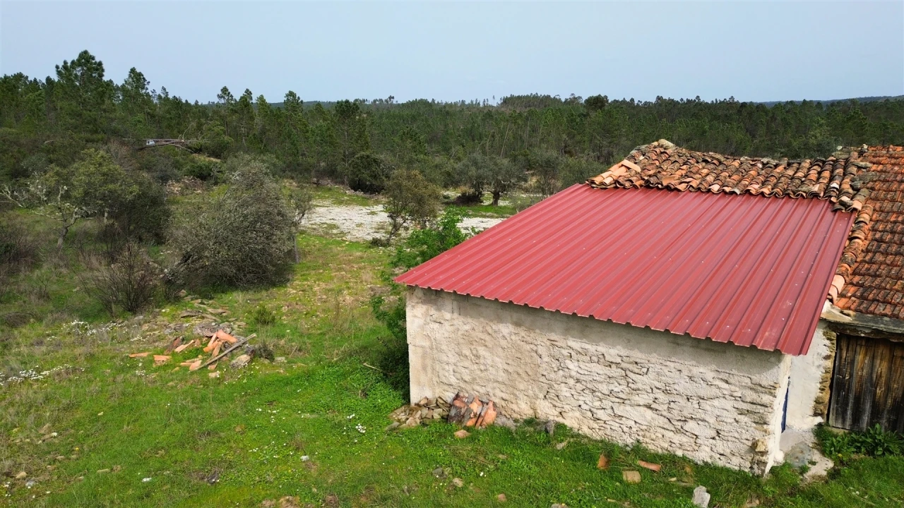 Terreno para Venda em Sarzedas Foto 2