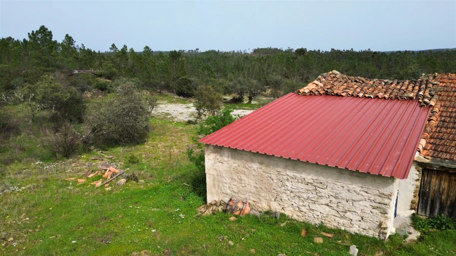 Terreno para Venda em Sarzedas Foto 2
