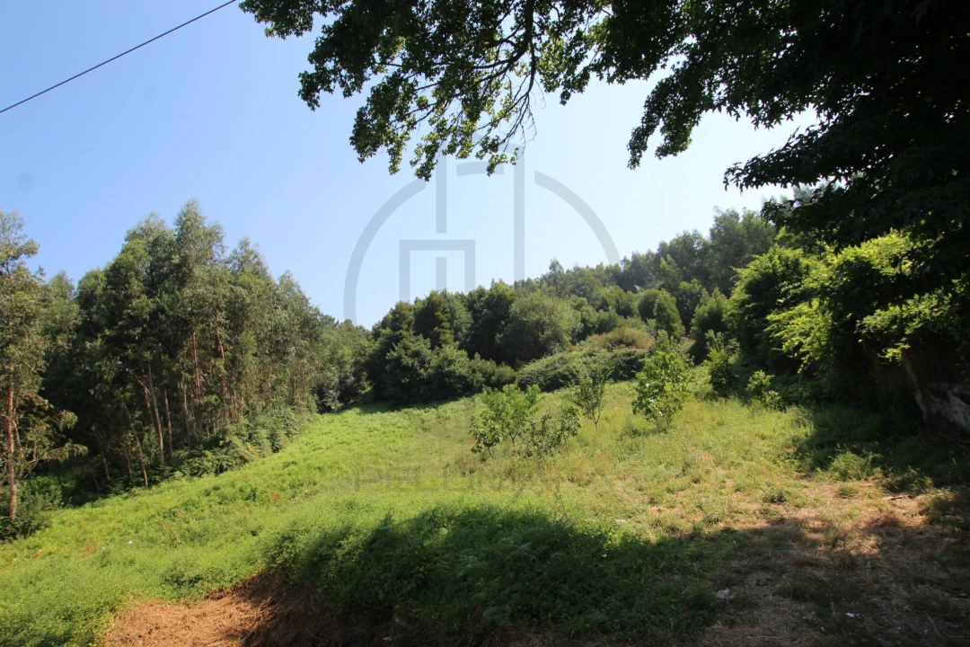 Terreno para Venda em Requião Foto 7