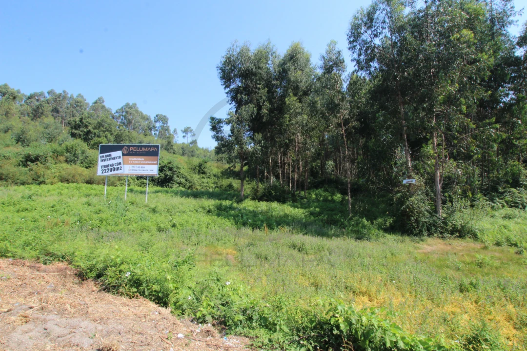 Terreno para Venda em Requião Foto 9
