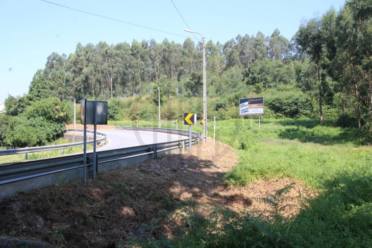 Terreno para Venda em Requião Foto 5