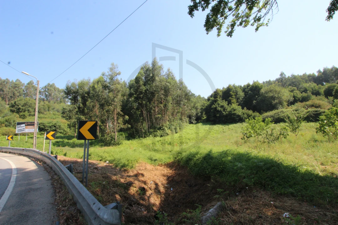 Terreno para Venda em Requião Foto 6