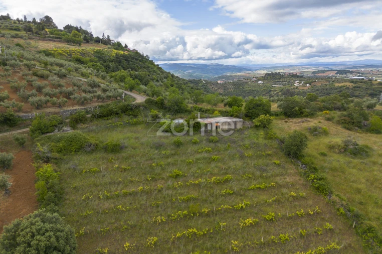 Terreno para Venda em Samil Foto 4