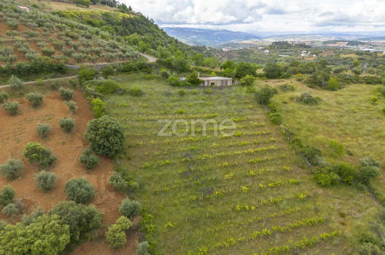 Terreno para Venda em Samil Foto 2