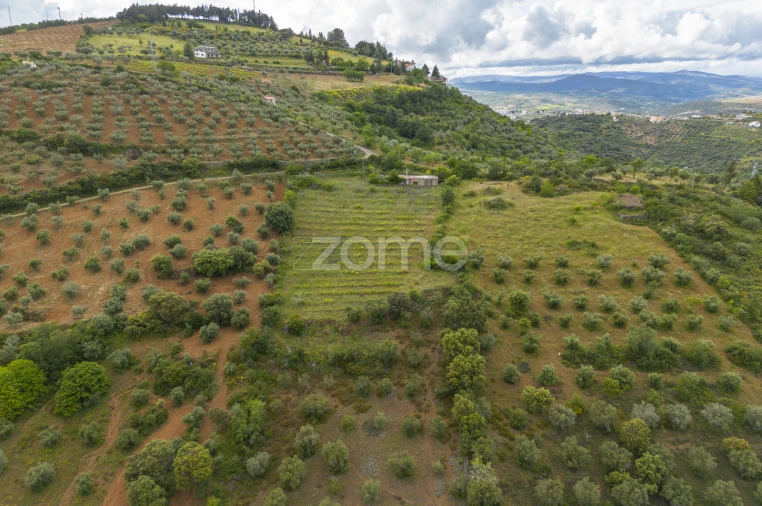 Terreno para Venda em Samil Foto 3