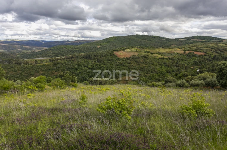 Terreno para Venda em Samil Foto 26