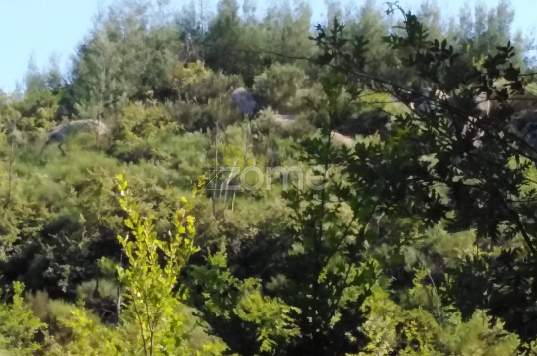 Terreno para Venda em Sameice e Santa Eulália Foto 5