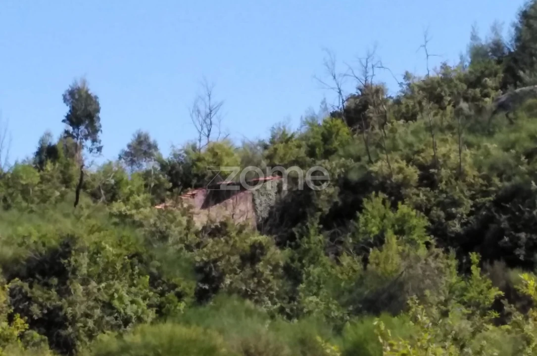 Terreno para Venda em Sameice e Santa Eulália Foto 8