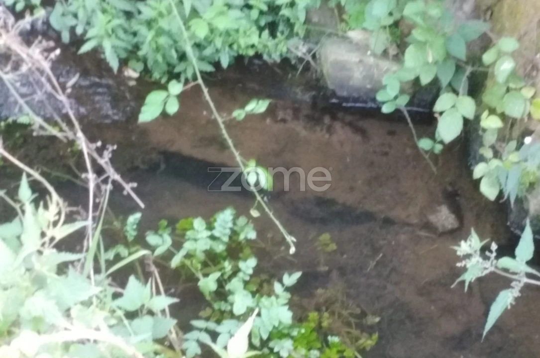 Terreno para Venda em Sameice e Santa Eulália Foto 10