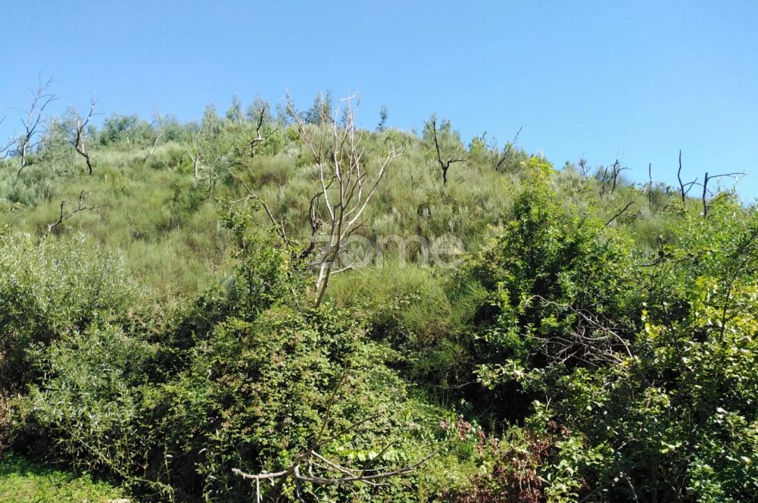 Terreno para Venda em Sameice e Santa Eulália Foto 16