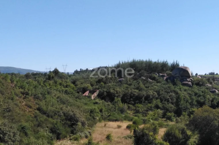 Terreno para Venda em Sameice e Santa Eulália Foto 11