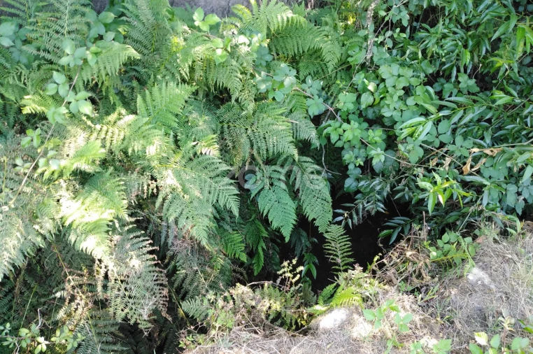 Terreno para Venda em Sameice e Santa Eulália Foto 17