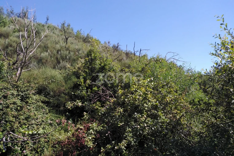 Terreno para Venda em Sameice e Santa Eulália Foto 9