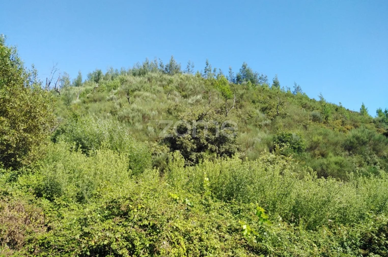 Terreno para Venda em Sameice e Santa Eulália Foto 12