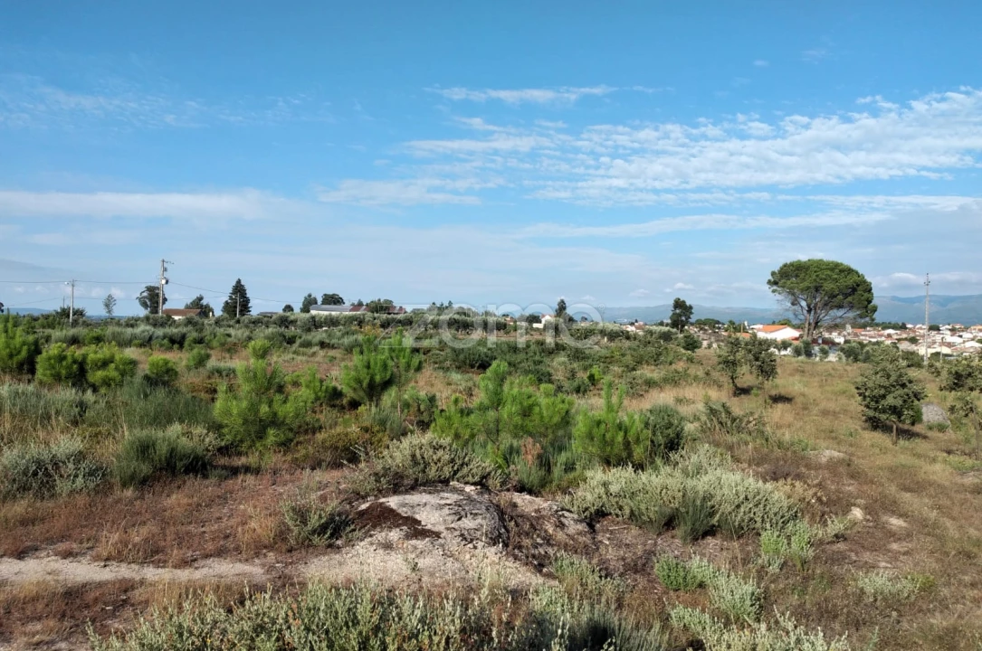 Terreno para Venda em Lagares Foto 5