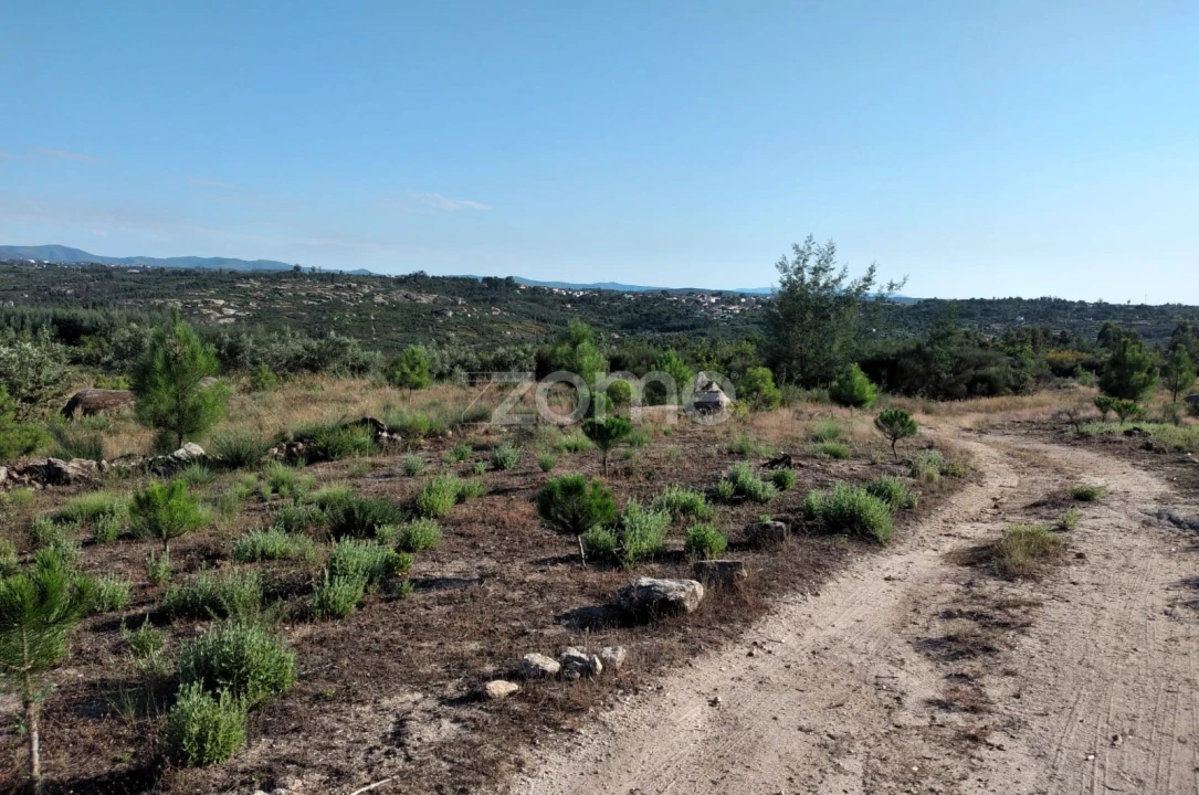 Terreno para Venda em Lagares Foto 6