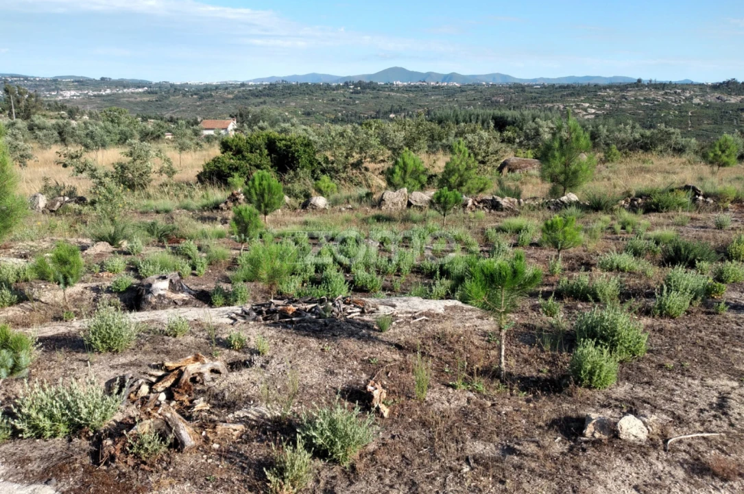 Terreno para Venda em Lagares Foto 8