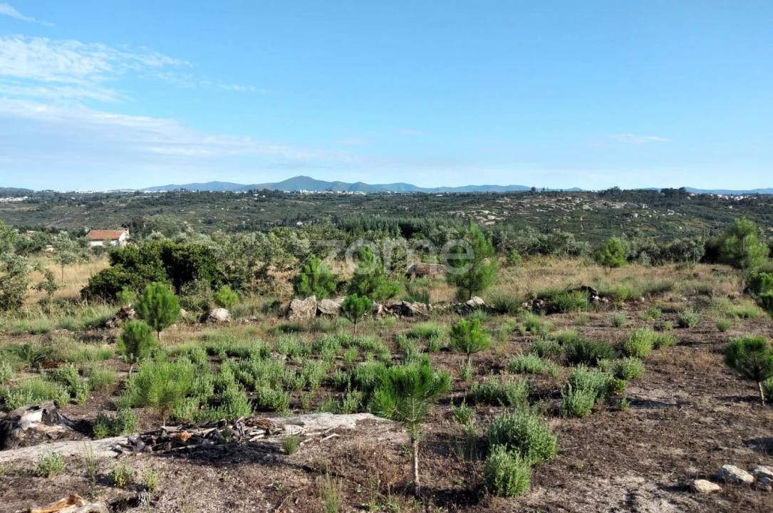 Terreno para Venda em Lagares Foto 1