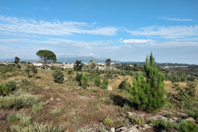 Terreno para Venda em Lagares Foto 2