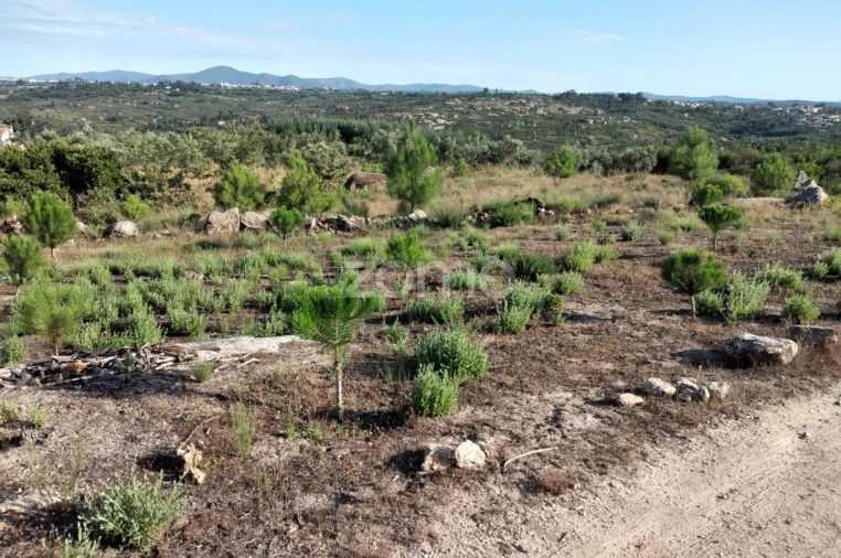 Terreno para Venda em Lagares Foto 7