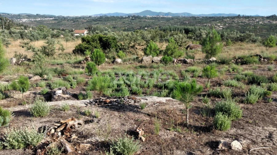Terreno para Venda em Lagares