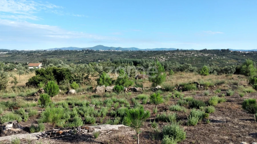 Terreno para Venda em Lagares