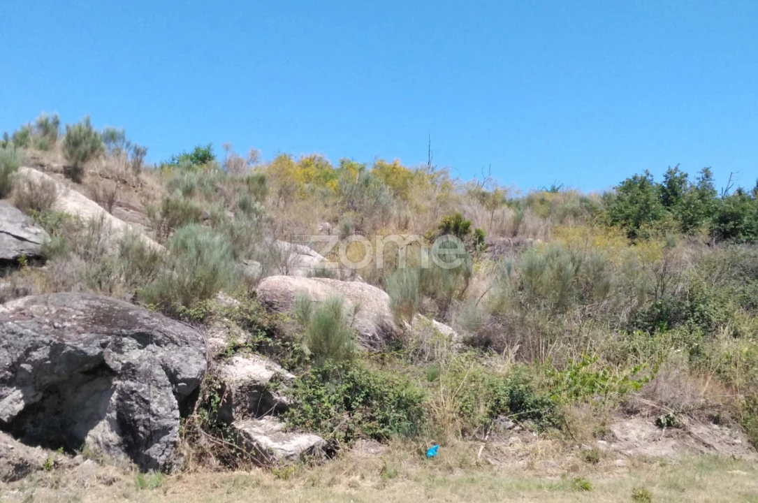 Terreno para Venda em Lagares Foto 7