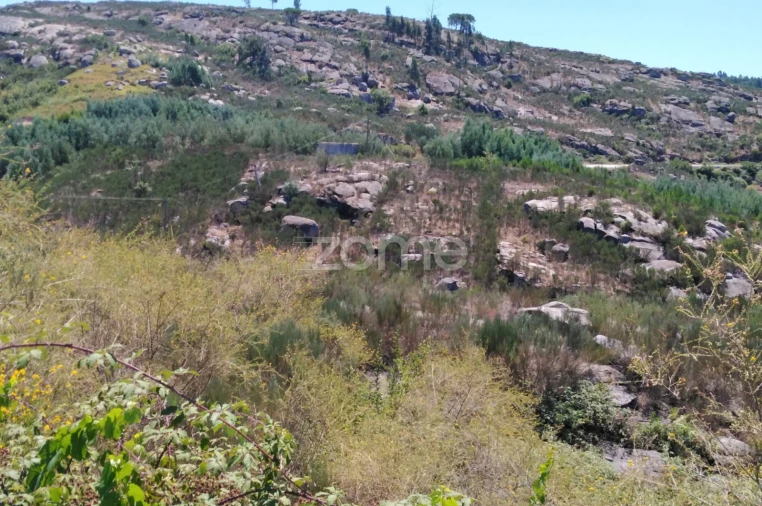 Terreno para Venda em Lagares Foto 4