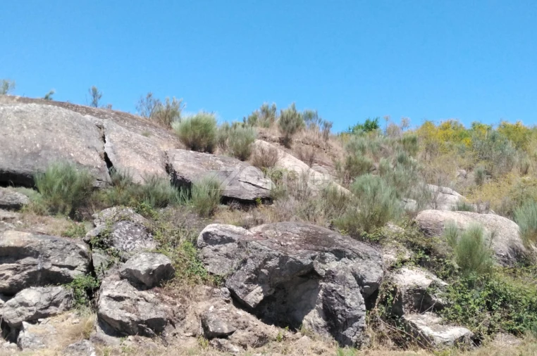 Terreno para Venda em Lagares Foto 14