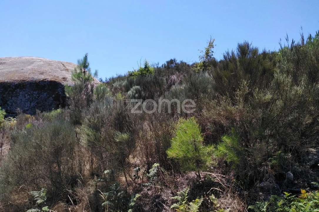 Terreno para Venda em Travanca de Lagos Foto 3