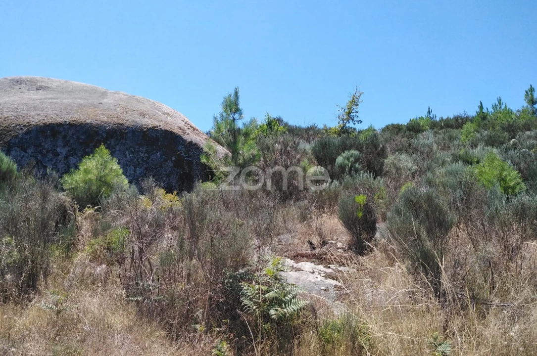 Terreno para Venda em Travanca de Lagos Foto 11