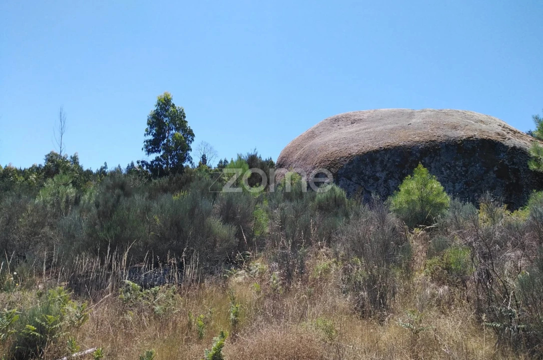 Terreno para Venda em Travanca de Lagos Foto 4
