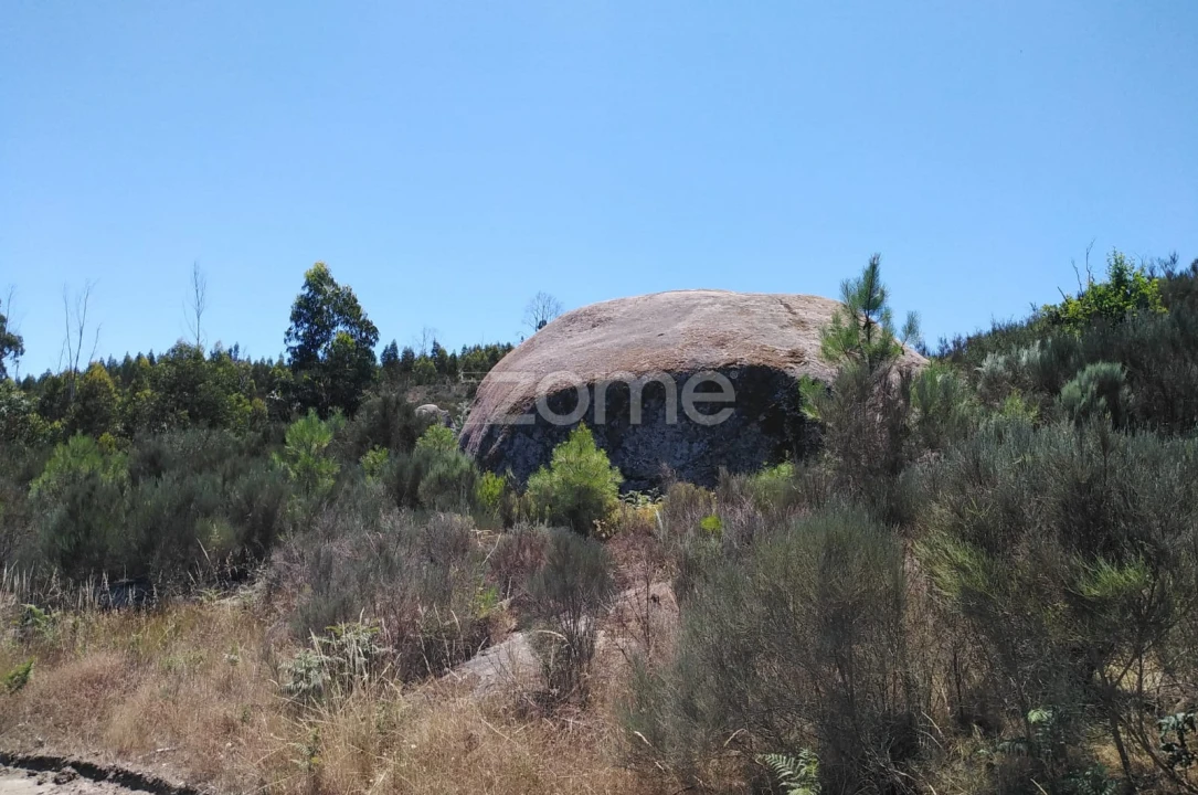 Terreno para Venda em Travanca de Lagos Foto 7