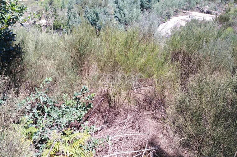 Terreno para Venda em Travanca de Lagos Foto 5