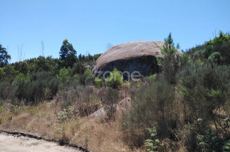Terreno para Venda em Travanca de Lagos Foto 9