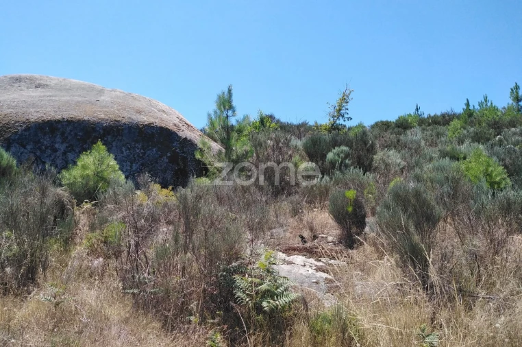 Terreno para Venda em Travanca de Lagos Foto 11