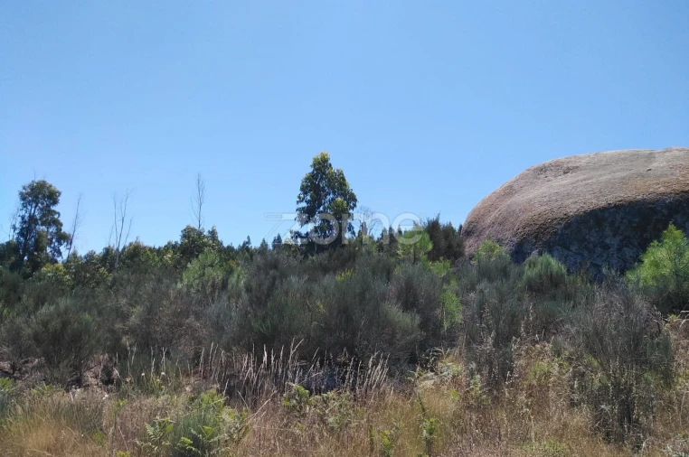 Terreno para Venda em Travanca de Lagos Foto 6