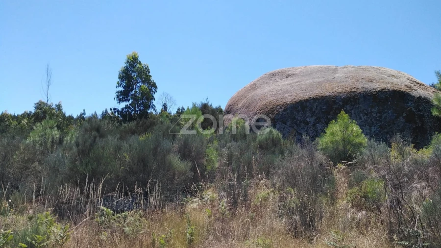Terreno para Venda em Travanca de Lagos