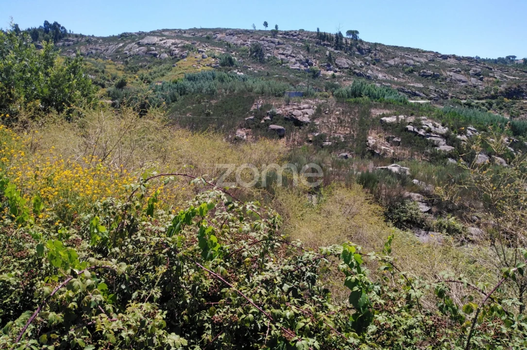 Terreno para Venda em Lagares Foto 4