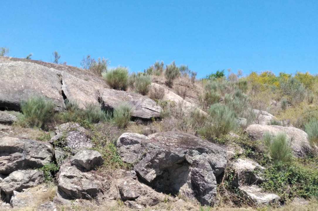 Terreno para Venda em Lagares Foto 15