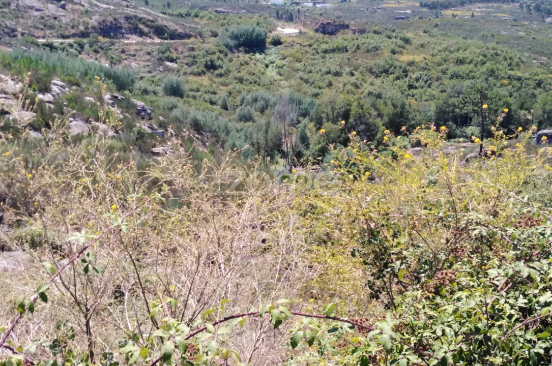 Terreno para Venda em Lagares Foto 12