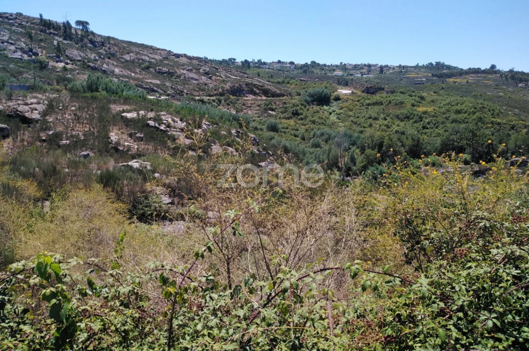 Terreno para Venda em Lagares Foto 7