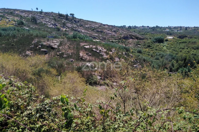 Terreno para Venda em Lagares Foto 2