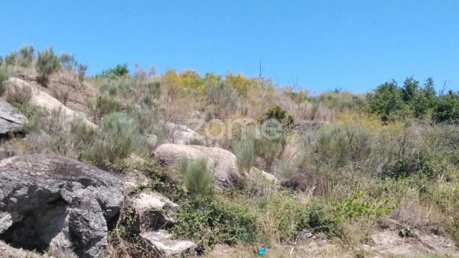 Terreno para Venda em Lagares